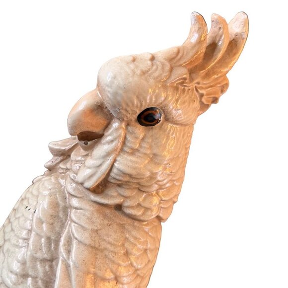 1940’s Chalkware Cockatoo - Picture 6 of 13